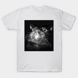 Oppressive Feline T-Shirt